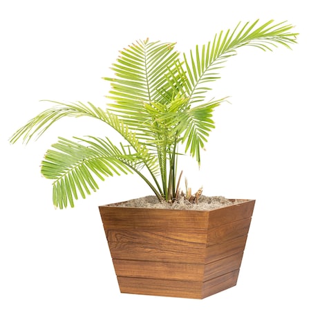 Whitecap Medium Planter Box 63109